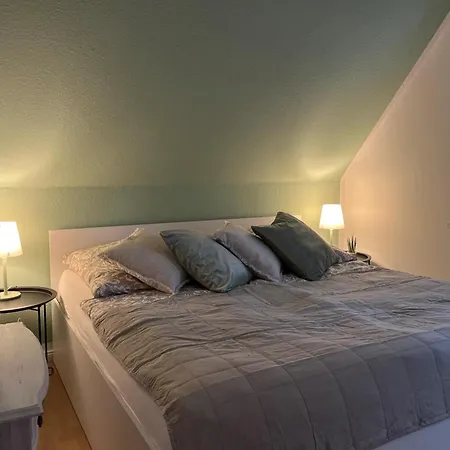 公寓 Alte Waescherei- Idyllische Nostalgie Am Elberadweg 博伊岑堡