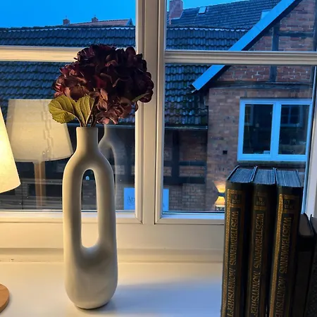 Alte Waescherei- Idyllische Nostalgie Am Elberadweg 公寓 博伊岑堡