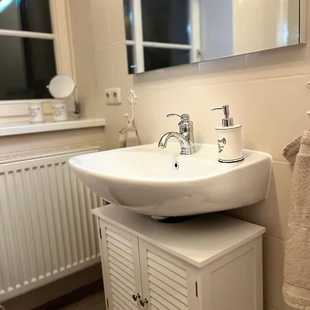 Alte Waescherei- Idyllische Nostalgie Am Elberadweg 博伊岑堡