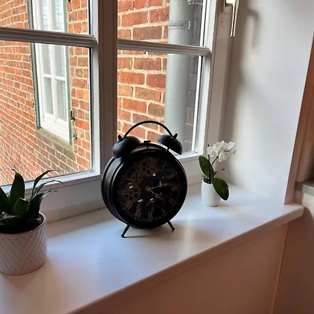 公寓 Alte Waescherei- Idyllische Nostalgie Am Elberadweg *