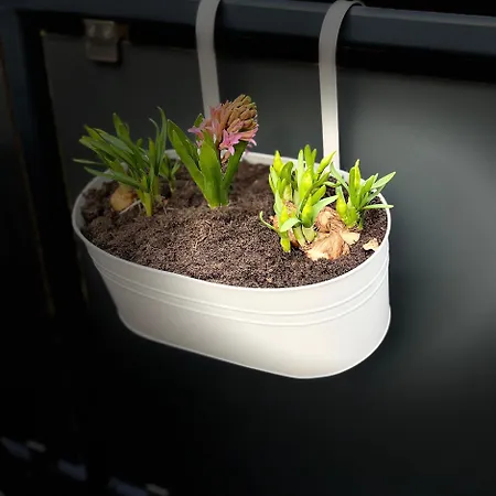 Alte Waescherei- Idyllische Nostalgie Am Elberadweg 公寓 博伊岑堡